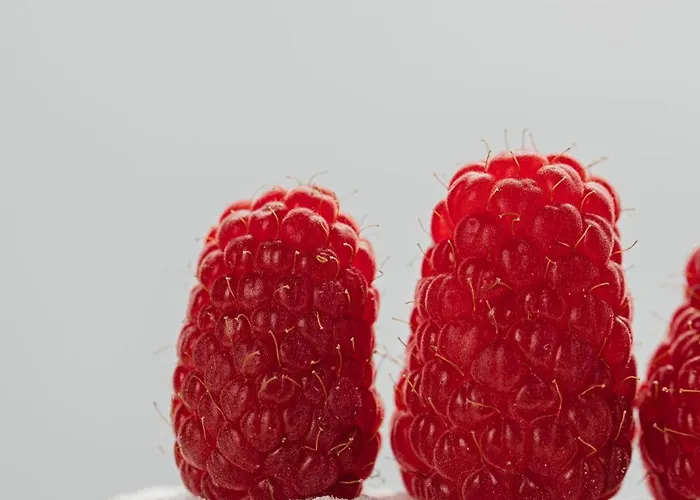 호텔 Grand Casino & 리비프